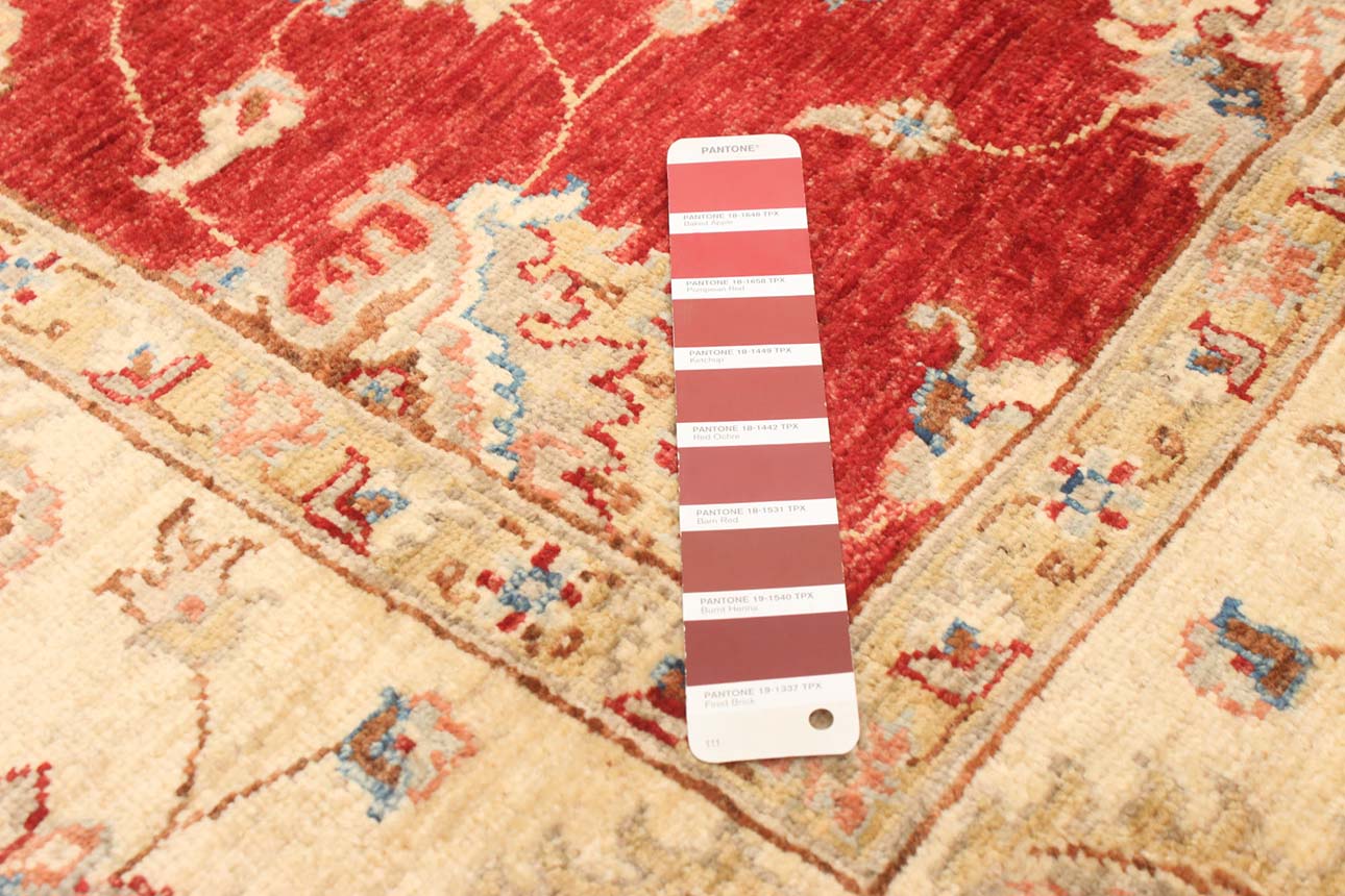 172958 קנדה רילקסון שטיח זיגלר אורגינל צמר פרימיום בורדו קרם ורוד 55