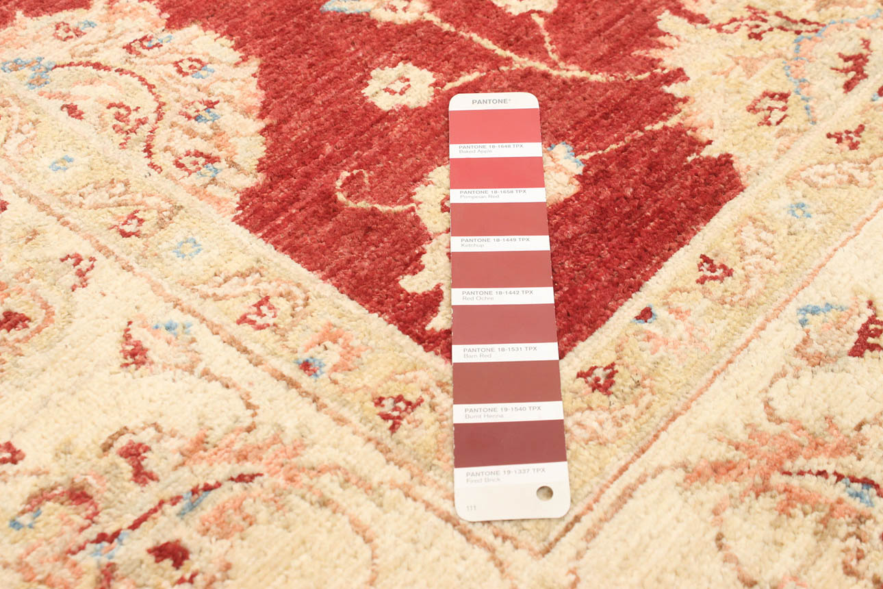 172983 רילקסון קנדה שטיח זיגלר מקורי צמר פרימיום בורדו קרם 61