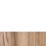 גוף לבן – תא מרכזי אגוז