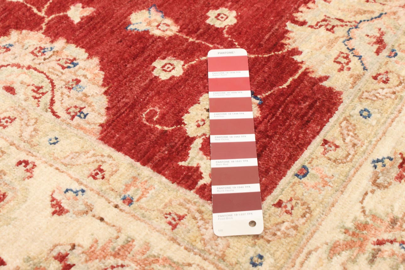 שטיח זיגלר פרימיום בורדו קרם 172985