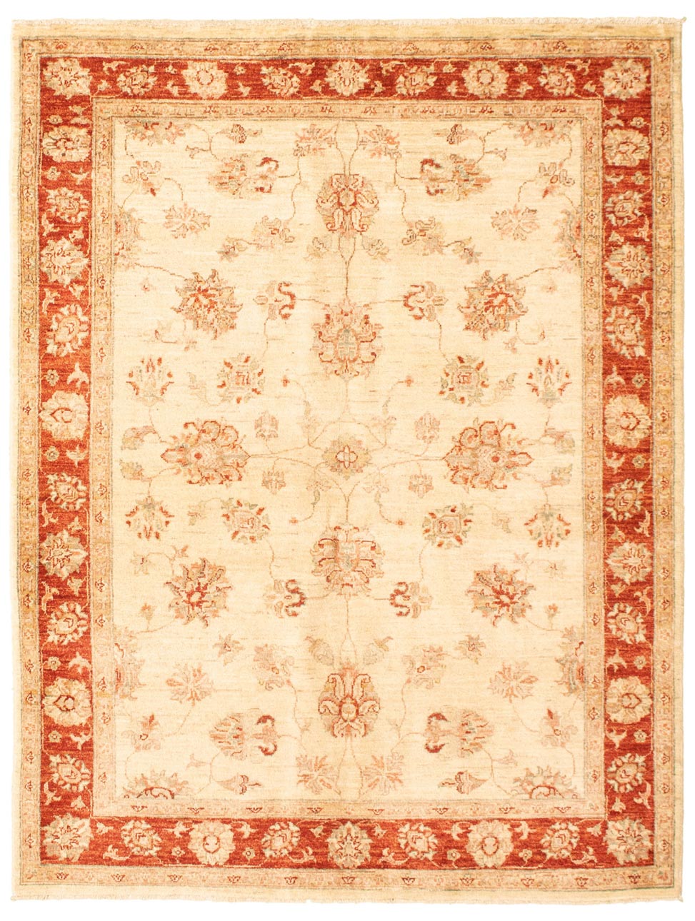 שטיח זיגלר פרימיום קלאסי 173325 בורדו קרם